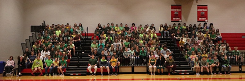 MS Green and Yellow